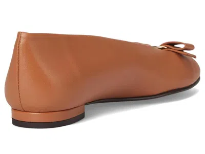 French Sole Orbit In Brown