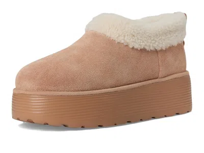 Stuart Weitzman Socharming Shearling Flatform Clogs In Brown