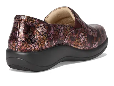 Alegria Keli In Multi