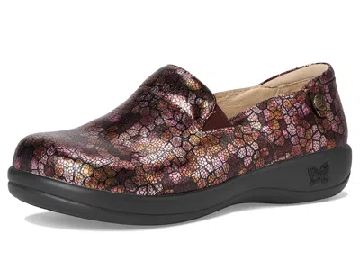 Alegria Keli In Multi