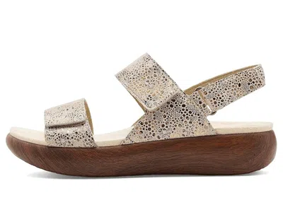 Alegria Bailee In Multi