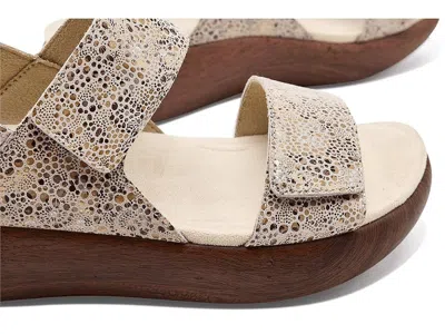 Alegria Bailee In Multi
