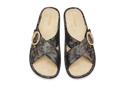 Alegria Vanya In Multi