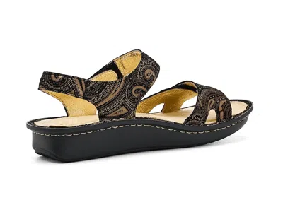 Alegria Vienna In Multi