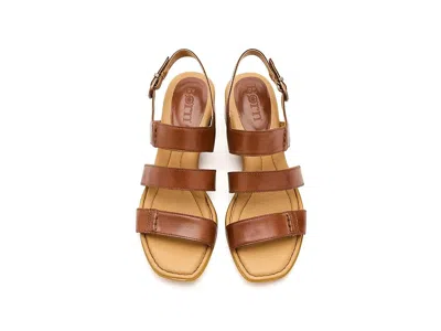 Born Secan In Brown