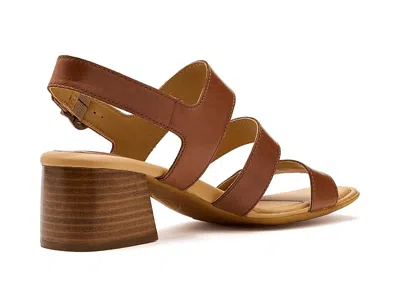 Born Secan In Brown