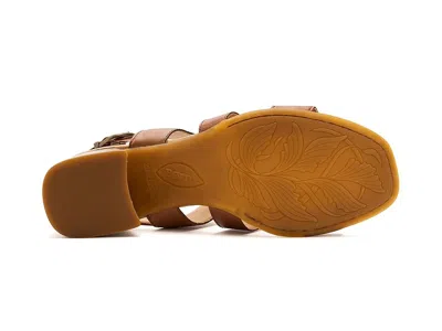 Born Secan In Brown