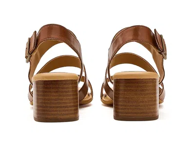 Born Secan In Brown