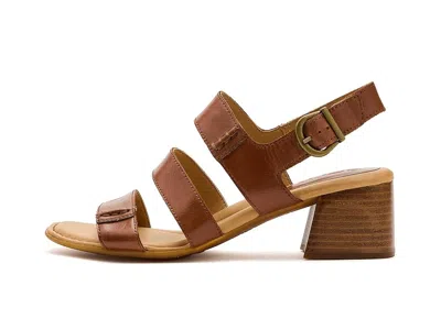 Born Secan In Brown