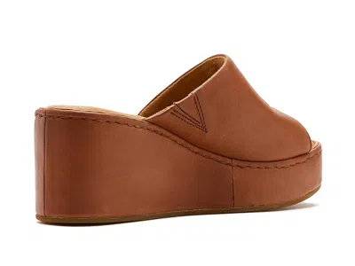 Born Shilo In Brown