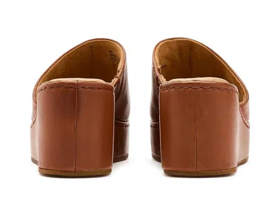 Born Shilo In Brown