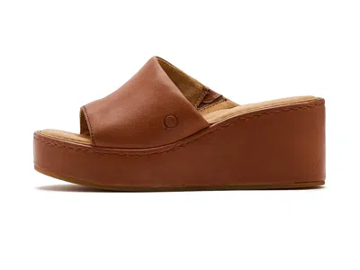 Born Shilo In Brown