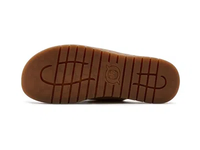 Born Adia In Brown