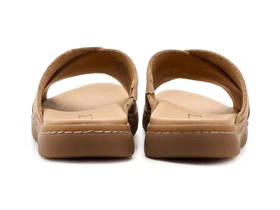 Born Adia In Brown