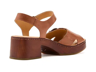 Born Bella In Brown