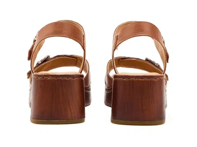 Born Bella In Brown