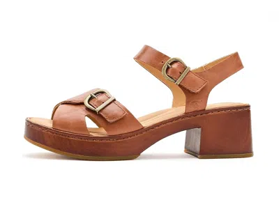 Born Bella In Brown