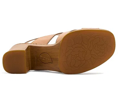 Born Nassau In Brown