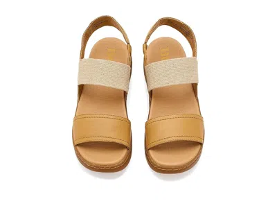 Born Amabel In Brown
