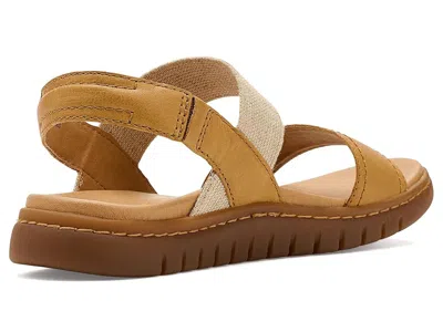 Born Amabel In Brown