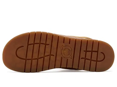 Born Amabel In Brown