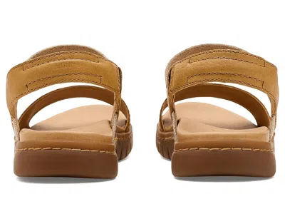 Born Amabel In Brown