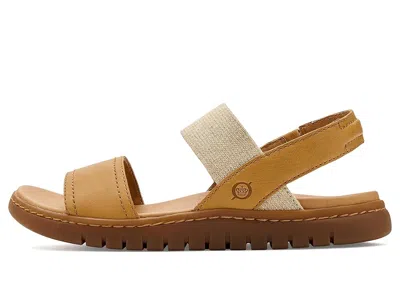 Born Amabel In Brown
