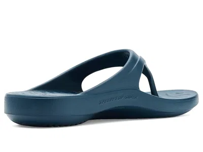 Sperry Flow Sandals In Blue