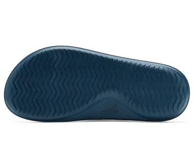 Sperry Flow Sandals In Blue