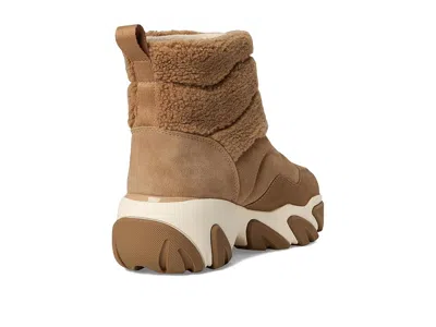 Hunter Debra In Multi