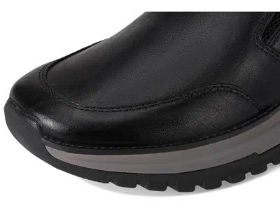 Align Buckley In Black