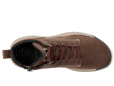 Align Eddy In Brown