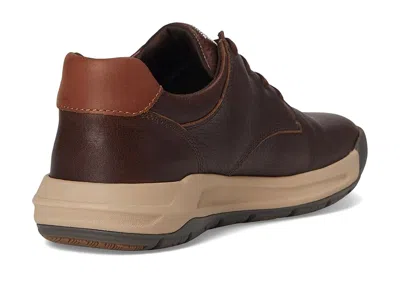 Align Erwin In Brown