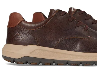 Align Erwin In Brown