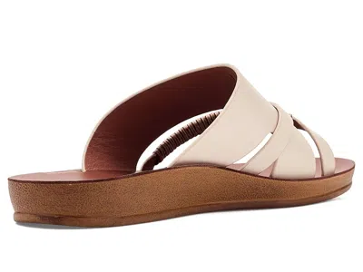 Los Cabos Bride In Brown