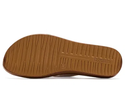 Los Cabos Bride In Brown