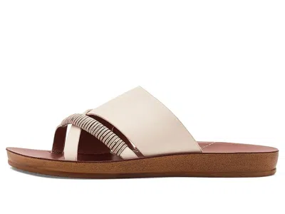 Los Cabos Bride In Brown