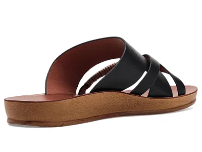 Los Cabos Bride In Black