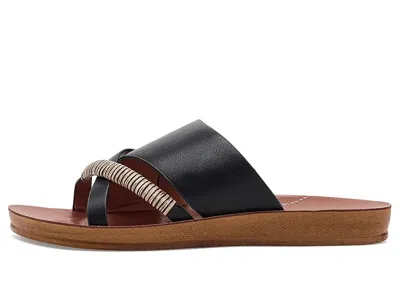 Los Cabos Bride In Black