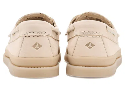 Sperry A/o 2 Mudguard In Multi