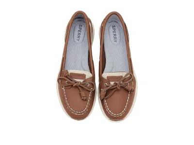 Sperry Daisyfish In Brown
