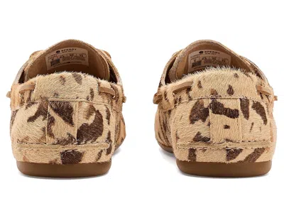 Sperry Slimboat In Brown