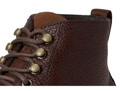 Taft Darcey In Brown