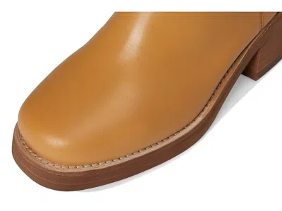 Dingo Bloom In Brown