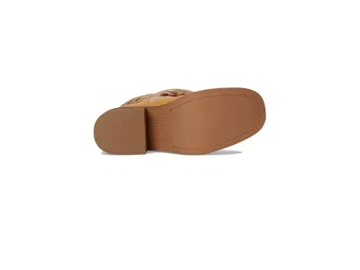 Dingo Bloom In Brown