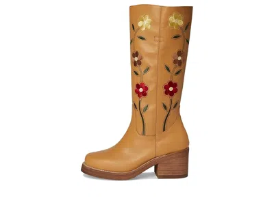 Dingo Bloom In Brown