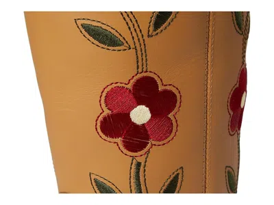 Dingo Bloom In Brown