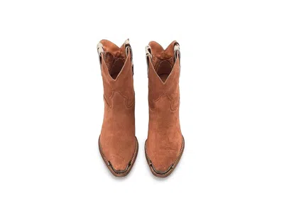Dingo Texas Charm In Brown