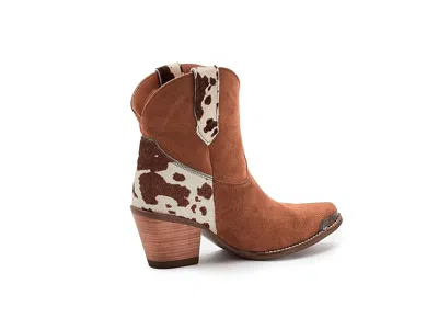 Dingo Texas Charm In Brown