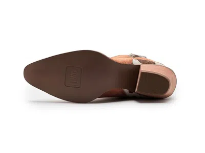 Dingo Texas Charm In Brown